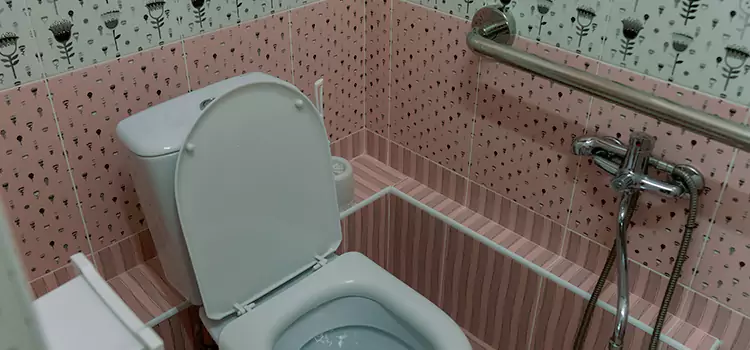 Meeting Diverse Needs With Accessible Restroom Solutions in New Brighton, MN